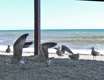 Прикрепленное изображение: DSCF7826.jpg